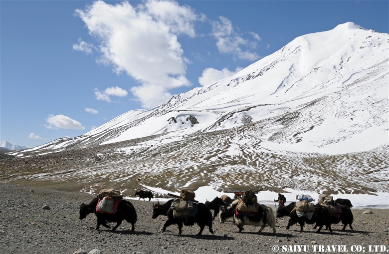 Where is Shimshal Pamir?