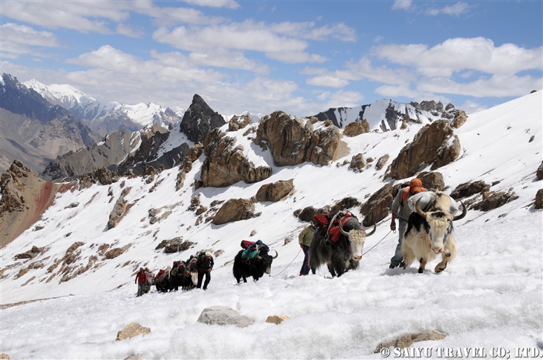 Shimshal Pamir : Getting Over the Shopodin Pass（5,346m）with 52 Yaks and 61 People